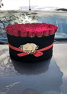 Kadife kutu  35 g�l