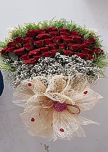 41 K�rm�z� G�l