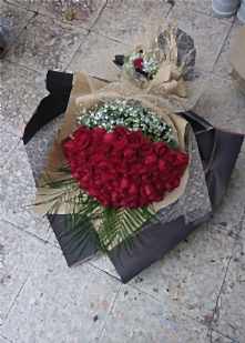  41   K�rm�z� G�l