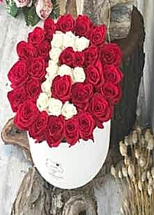  K�z isteme �i�e�i