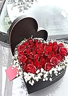 Kadife kutu  33 g�l