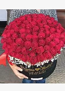 Kiz isteme �i�egi 101 G�L