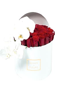 Kutud 41     g�l    ve Orkide