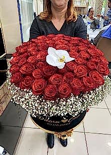 �simli Kutuda �steme �i�e�i