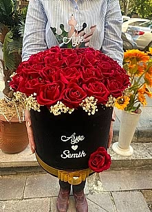 Ankara �steme �i�e�i