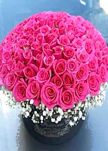 Kutuda 101 Pembe G�l